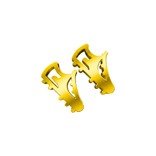 Achievement footie_fanatic